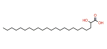 2-Hydroxytricosanoic acid